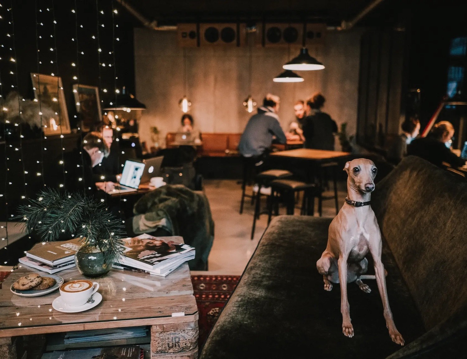 Backstage cafe - Lithuanian pink soup in Vilnius restaurants