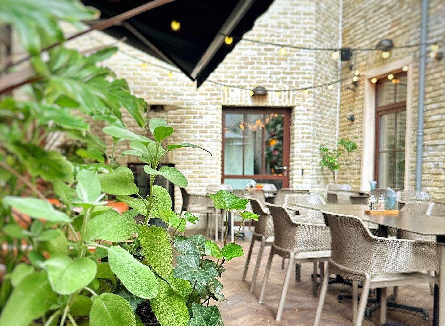 Meat Lovers Vilniu - Vilnius restaurant with courtyard terrace